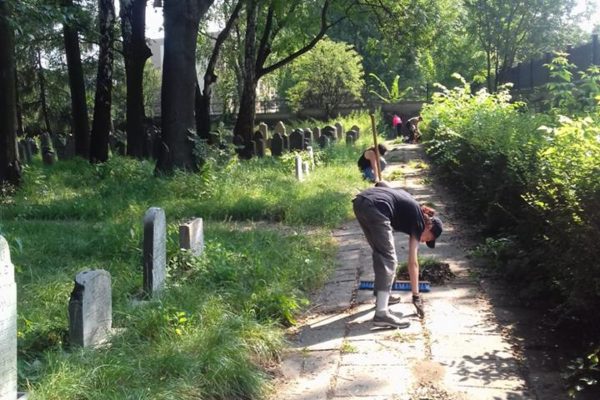Erhaltungsarbeiten auf dem jüdischen Friedhof - SoLa Oswiecim 2018