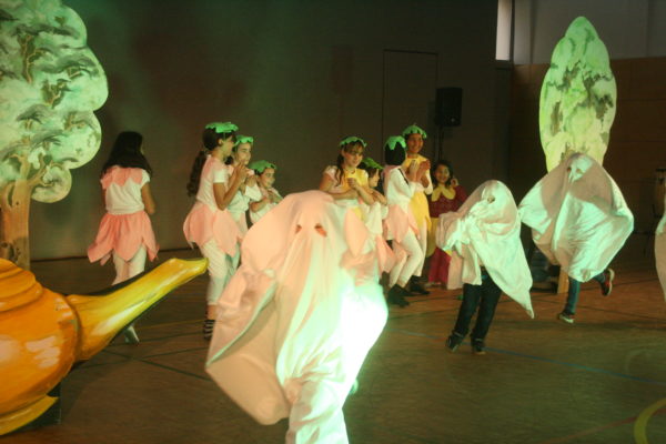 Neuruppin Blümchen 2