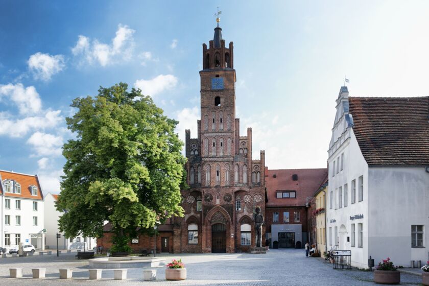 Zeitzeugengespräch mit George Shefi